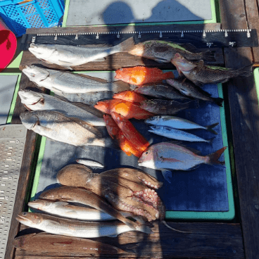 釣果ギャラリー1