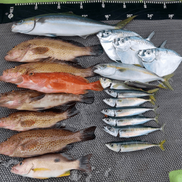 釣果ギャラリー6